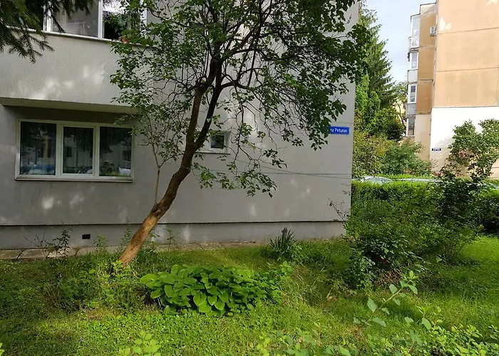 Petuniei
